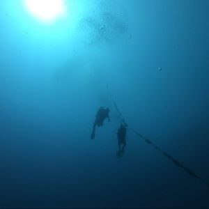 Meet your Posher, Chadi